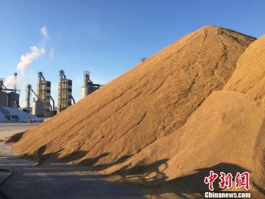 中国水稻大省创新大米销售模式启动2019首场拍卖
